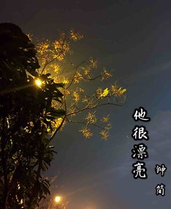 他很漂亮